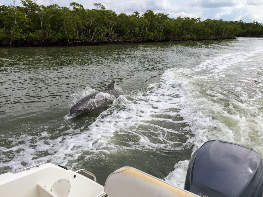 Miami: Everglades Full-Day Tour With 2 Boat Trips and Lunch - Key Points