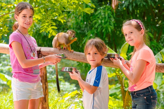 Monkeyland Half Day Safari From Punta Cana Highlights Of The Monkeyland Experience