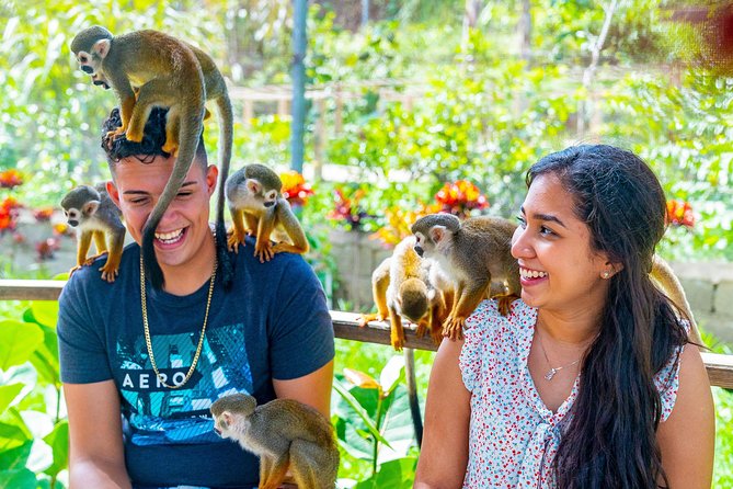 Monkeyland Puerto Plata - Key Points