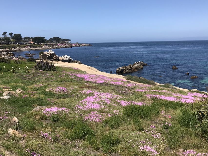 Monterey Peninsula Sightseeing Tour Including 17 Mile Drive - Key Points