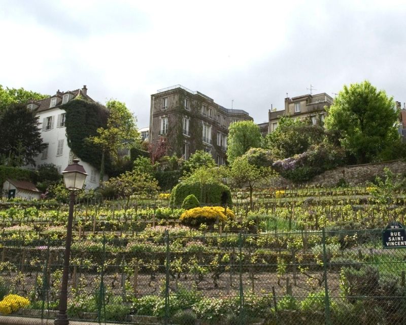 Montmartre: The Wine Makers' Rally - Key Points