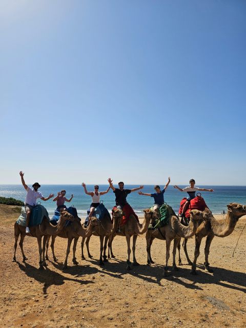 Morocco Express: Private Tour to Tangier From Seville - Key Points