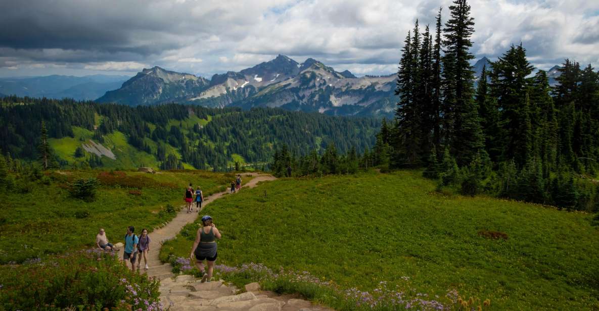 Mount Rainier Np: Full Day Private Tour & Hike From Seattle - Key Points