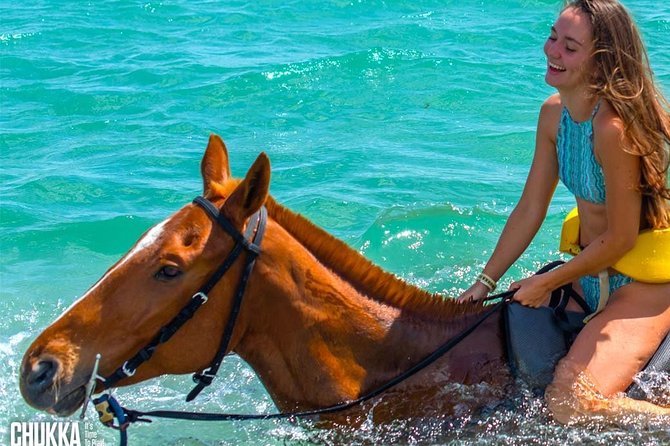 Mountain-To-Sea Horseback Ride and Swim at Sandy Bay - Key Points