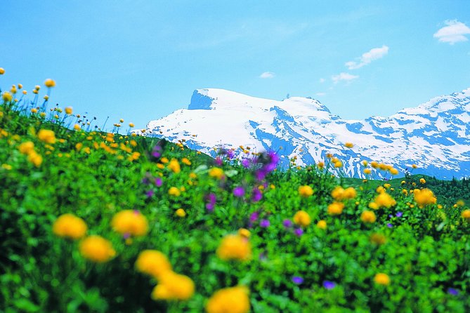 Mt Titlis Glacier Paradise Tour From Zurich With Lucerne - Tour Overview