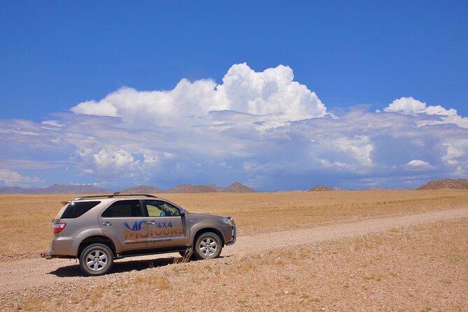 Namib Desert Landscape Tour - Key Points