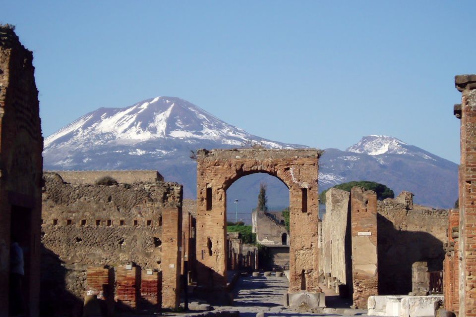 Naples: Pompeii, Herculaneum and Mt. Vesuvius Private Tour - Key Points