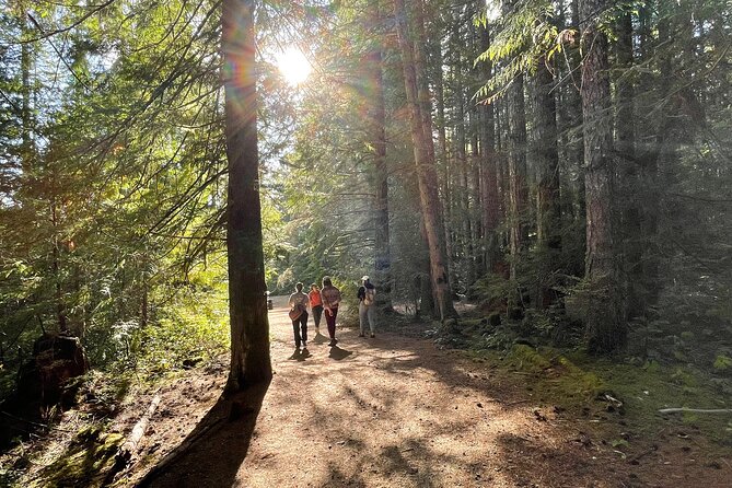 Nature Walks in Pacific - Key Points