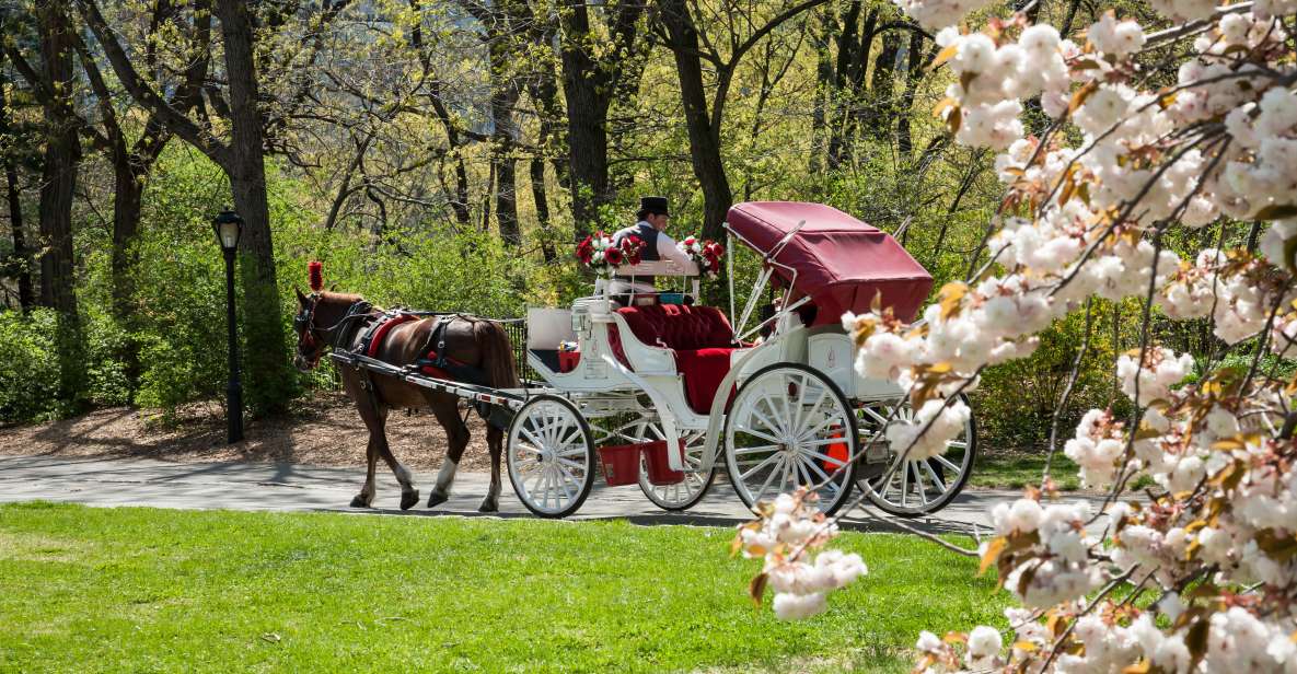 New York City: Horse and Carriage Rides in Central Park - Key Points