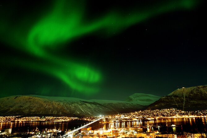 Northern Lights Chase by Bus in Tromso - Key Points