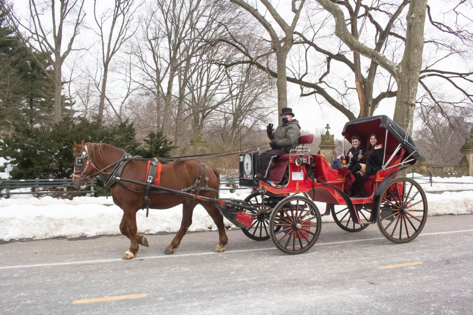 NYC Horse Carriage Ride in Central Park (65 Min) - Key Points