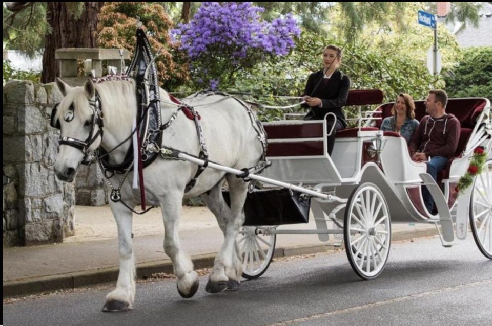 Nyc: Private Central Park Horse Carriage Ride With Guide - Key Points