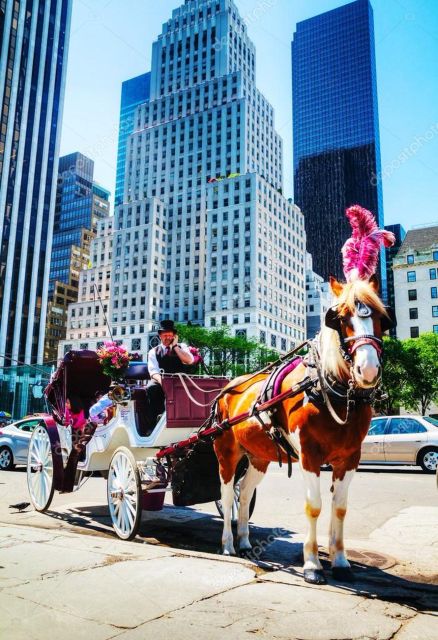 NYC:Guided Central Park Horse Carriage Ride - Key Points