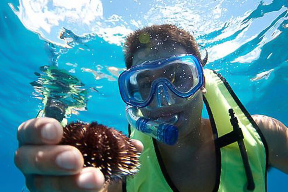 Oahu: Hilton Hawaiian Village Morning Snorkel With Lunch - Key Points