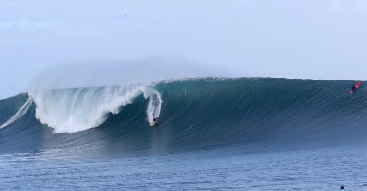 Oahu: Private Surfing Lesson With Local Big Wave Surfer - Key Points