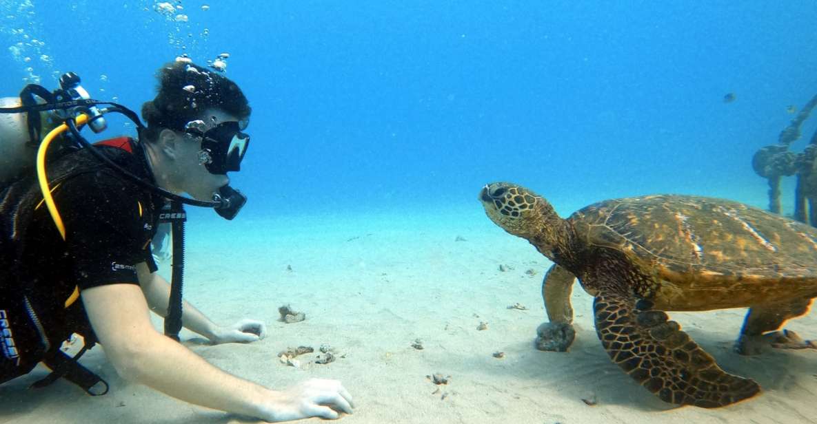 Oahu: Scuba Diving Lesson for Beginners - Key Points