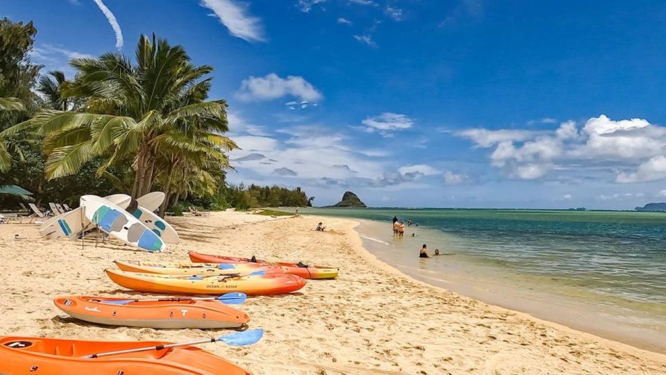 Oahu: Secret Beach Circle Island Adventure - Key Points