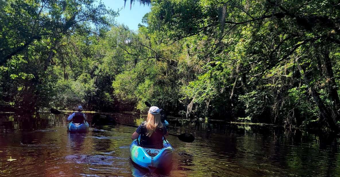 Old Florida Backwater Kayak Adventure Near St. Augustine - Key Points