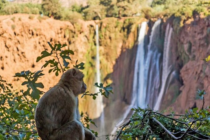 One Day Trip From Marrakech To Ouzoud Waterfalls And Berber Villages - Key Points