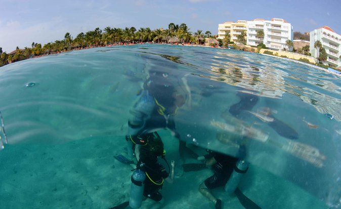 Open Water Diver Course at Blue Bay Dive in Curacao - Key Points