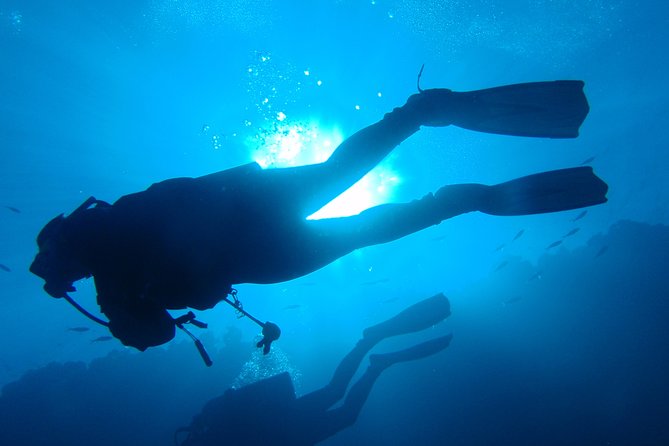 Open Water Diver Course + Underwater Photo Shooting - Key Points