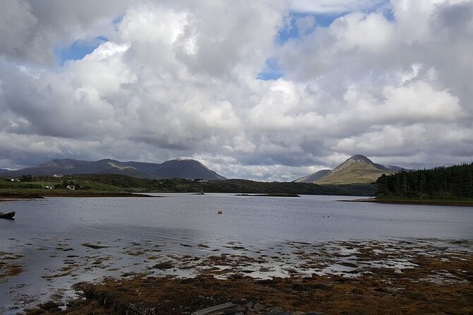 Oyster Farm and Tasting Experience - Key Points