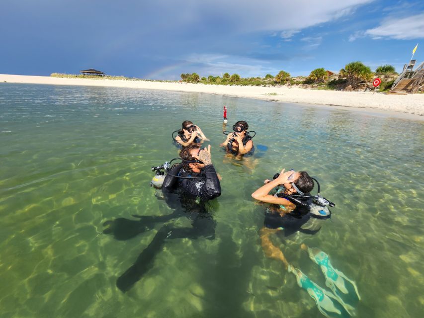 Panama City Beach: Beginners Scuba Diving Tour - Key Points