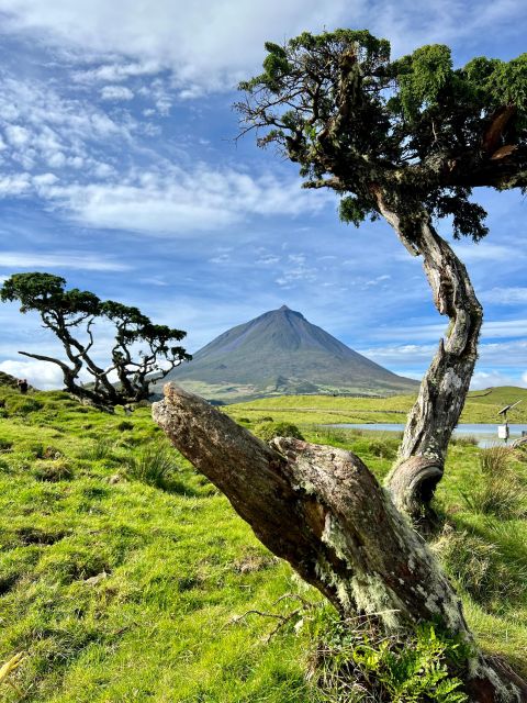 Pico, Azores: Highlights Tour With Wine Tasting and Picnic | Mike's ...