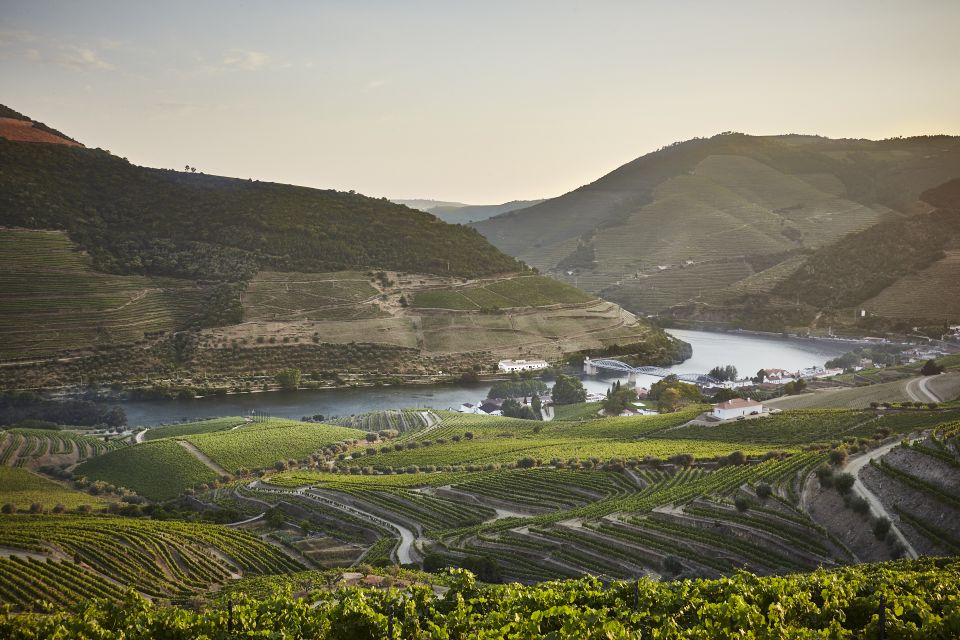 Pinhão: Quinta Do Bomfim Visit and Tasting - Key Points