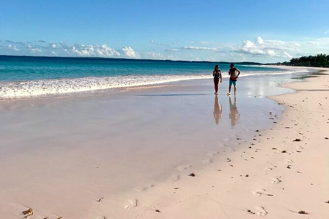 Pink Sand Beach and Swimming Pigs Adventure From Nassau - Key Points