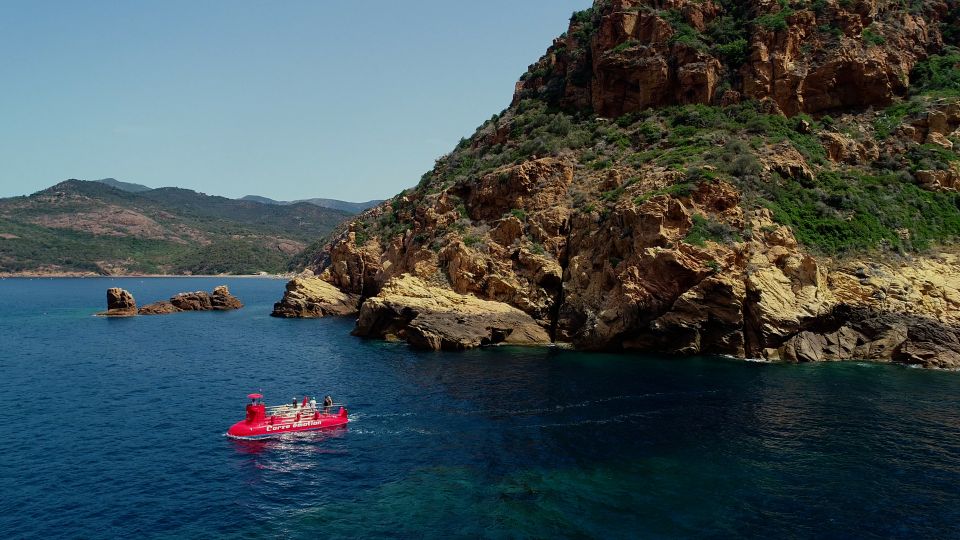 Porto: Discovery of the Marine Fauna and Flora/Bay of Porto - Key Points