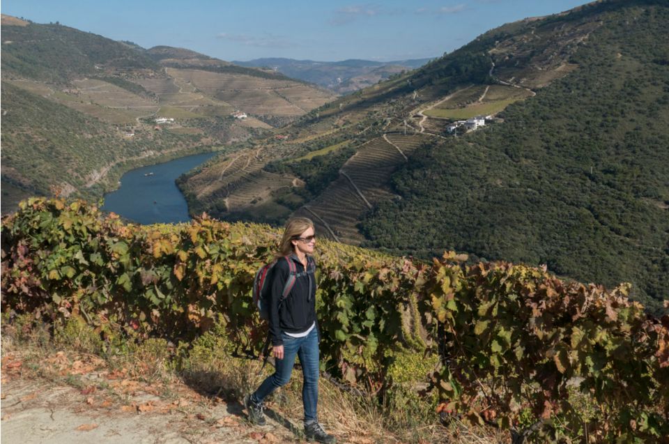 Porto: Douro Valley Day Trip With Wine Tasting and Lunch - Key Points