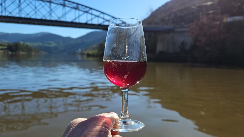 Porto: Douro Valley Tour With Winery Tasting, Cruise & Lunch - Key Points