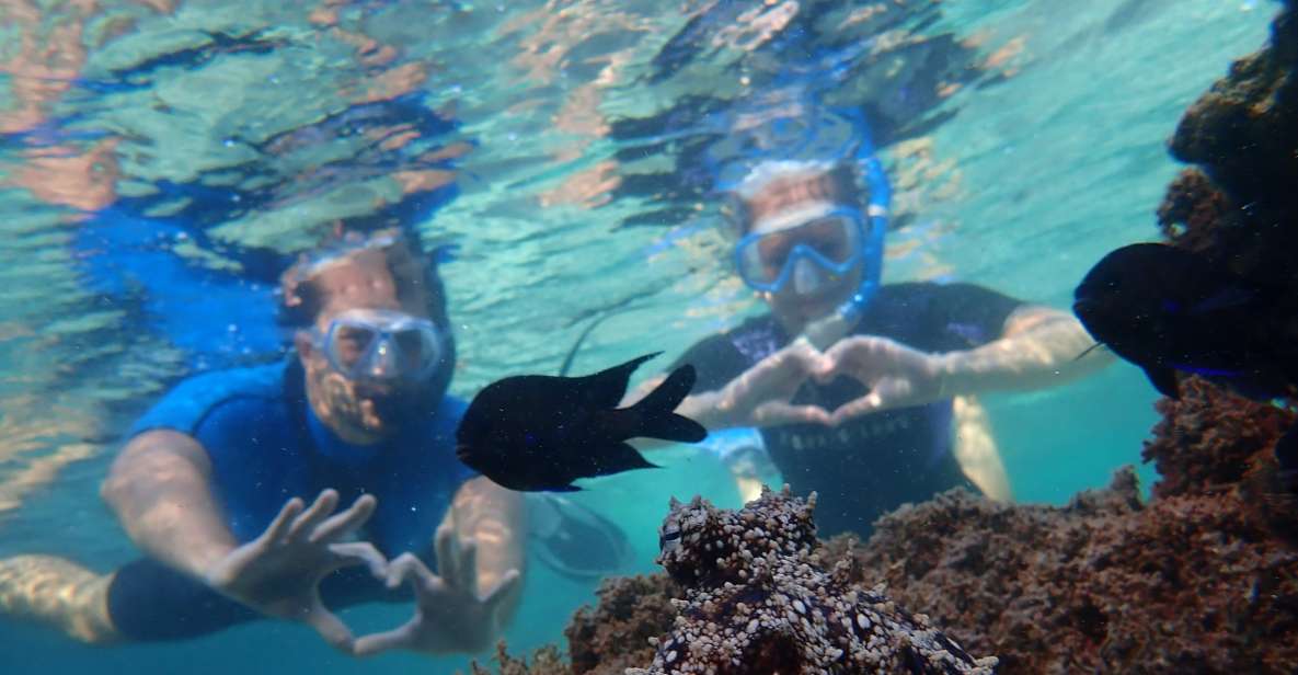 Porto Santo: Snorkeling Tour - Key Points