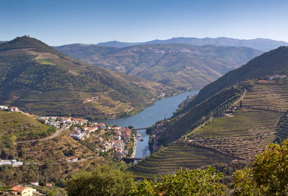 Portugal: Premium Bike Tour Atlantic Coast to Douro Valley - Key Points