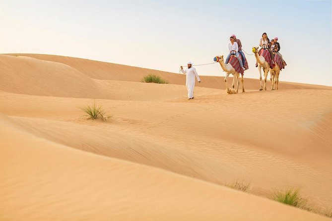 Premium Red Dunes Safari and Camel Safari With BBQ Dinner - Key Points