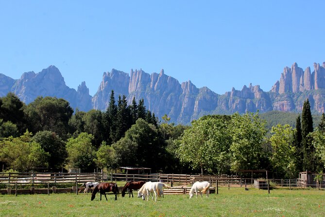 PREMIUM SMALL GROUP: Montserrat Horseback Riding & Monastery - Tour Details