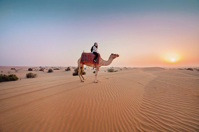 Premium Sundowner Red Dunes & Camel Safari With BBQ Dinner - Key Points