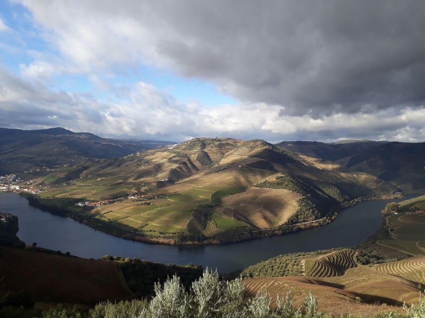 Private Douro Wine Tour - Key Points