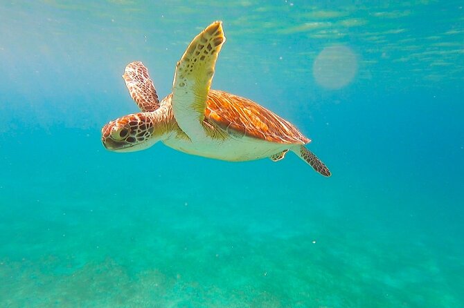 Private Full Day Sail in Virgin Islands National Park - Overview of the Charter