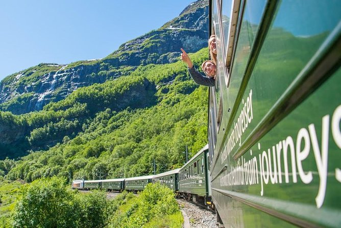 Private Guided Tour - Premium Nærøyfjord Cruise and Flåm Railway - Key Points