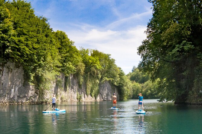 Private Half Day Stand-up Paddle Boarding on the Soča River - Key Points