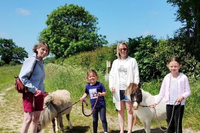 Private Miniature Horse Walking Near Lincoln - Key Points