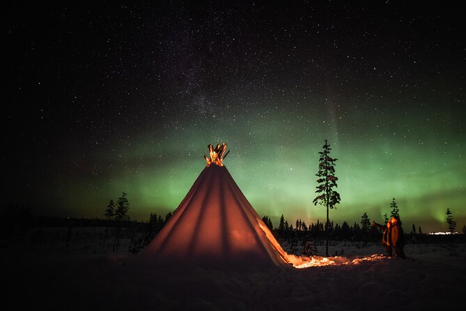 Private Northern Lights Photography Tour in Rovaniemi - Key Points