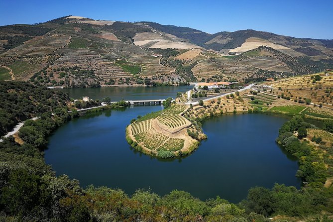 Private off the Beaten Douro Valley Wine Tour - Key Points