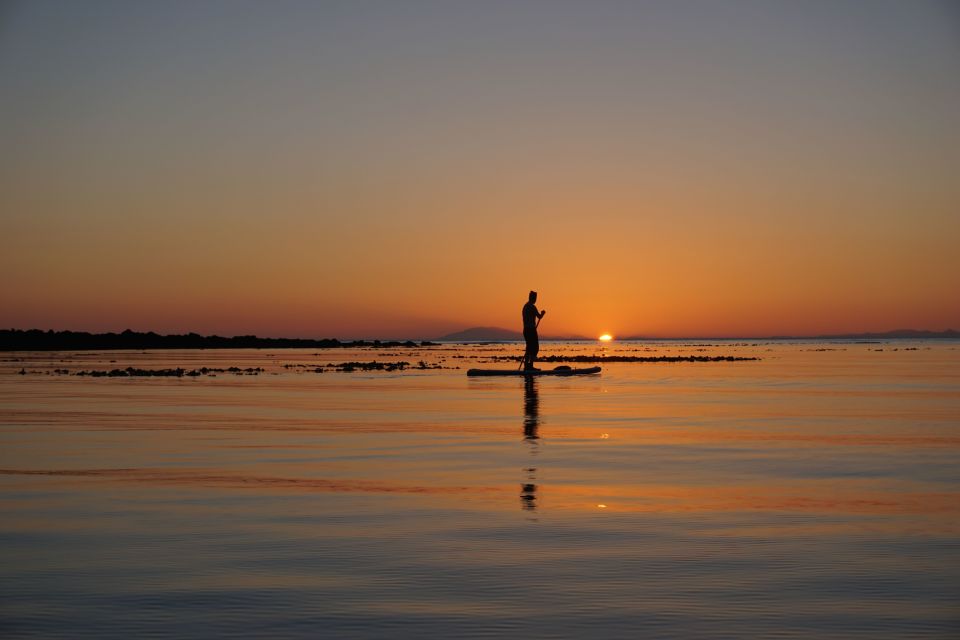 Private Sunset Paddle Tour in Reykjavik - Key Points