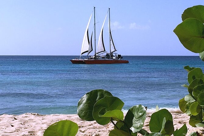 Private Tour: Barbados Catamaran Snorkeling Cruise - Overview of Cruise