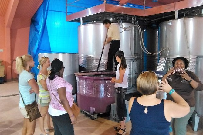 PRIVATE TOUR -Madrid Wineries Day Tou With Hotel Pickup and Lunch - Key Points