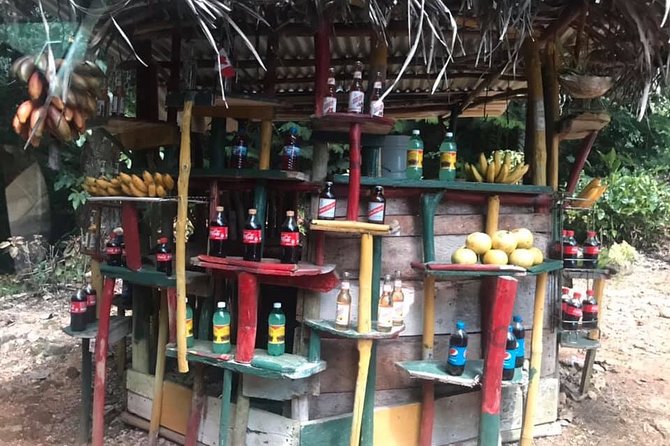 Private Tour of Bob Marley House From Ocho Rios - Tour Overview