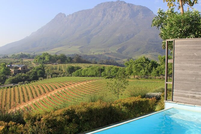 Private Tour of Top 5 Stellenbosch Wineries From Cape Town - Key Points